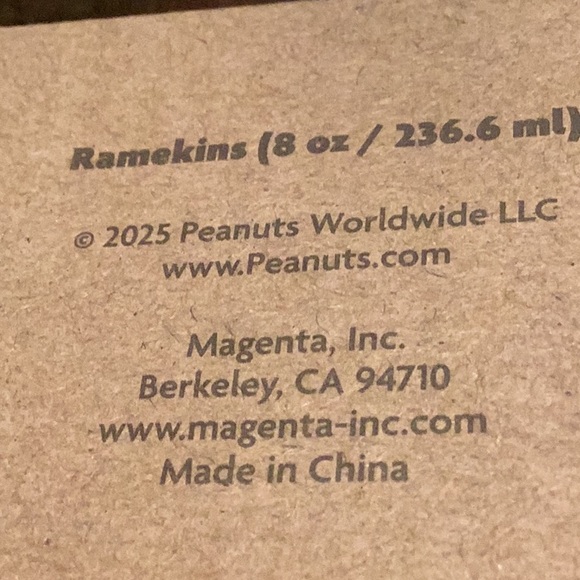 Peanuts x Rae Dunn Fall Ramekin Set - Picture 11 of 12